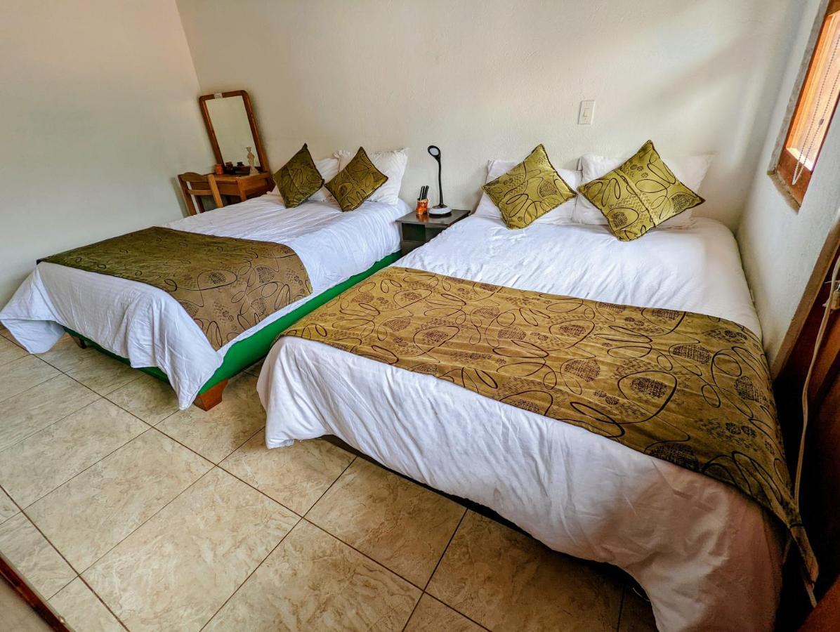 Casa De Huespedes Faletto فيلا دي ليفا المظهر الخارجي الصورة